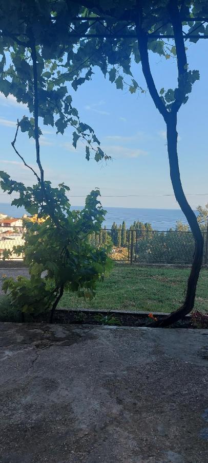 Adriatic Sea View Rooms Ulcinj Eksteriør billede