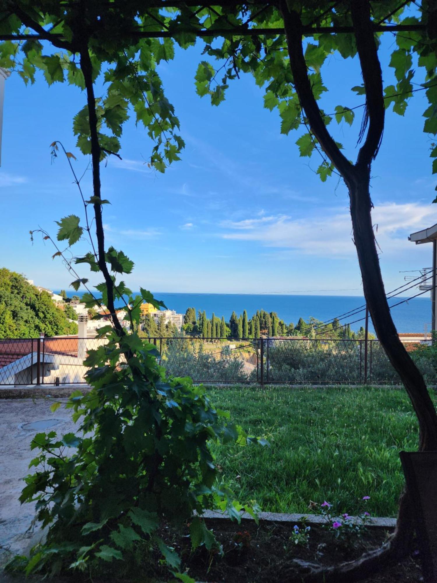 Adriatic Sea View Rooms Ulcinj Værelse billede